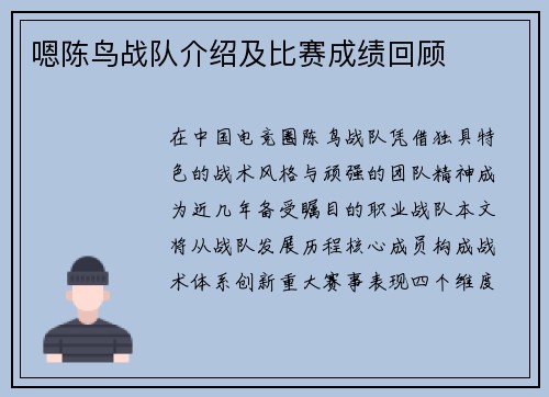 嗯陈鸟战队介绍及比赛成绩回顾